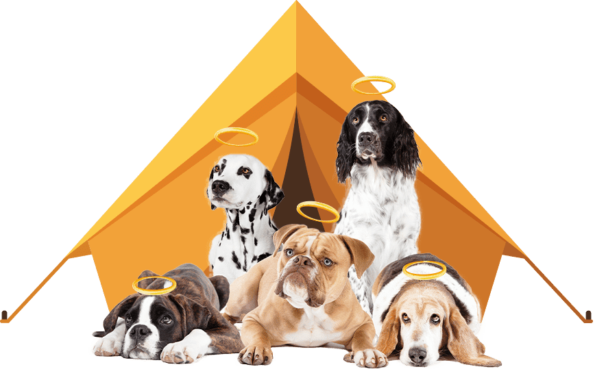dog-tent