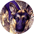 thank-dog-training-testimonial-4-square-120