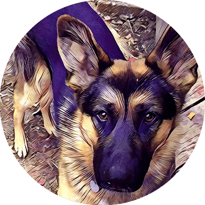 thank dog training testimonial 4